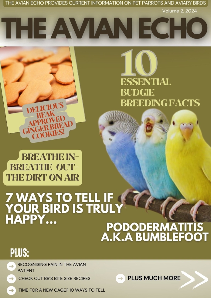 Tiel Time edition 2